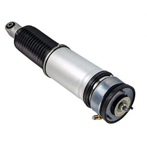 what air struts are the best