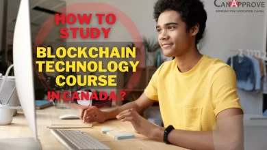 blockchain technology courses