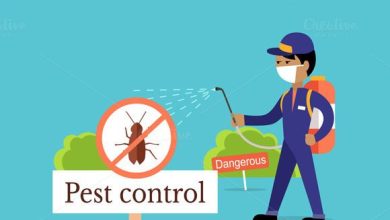 Pest Control Services
