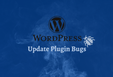 hire wordpress programmer