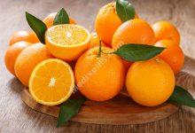 Information about vitamins that is up-to-date