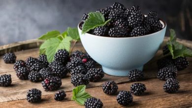 Blackberry Fruit Helps Men's Health in What Ways?
