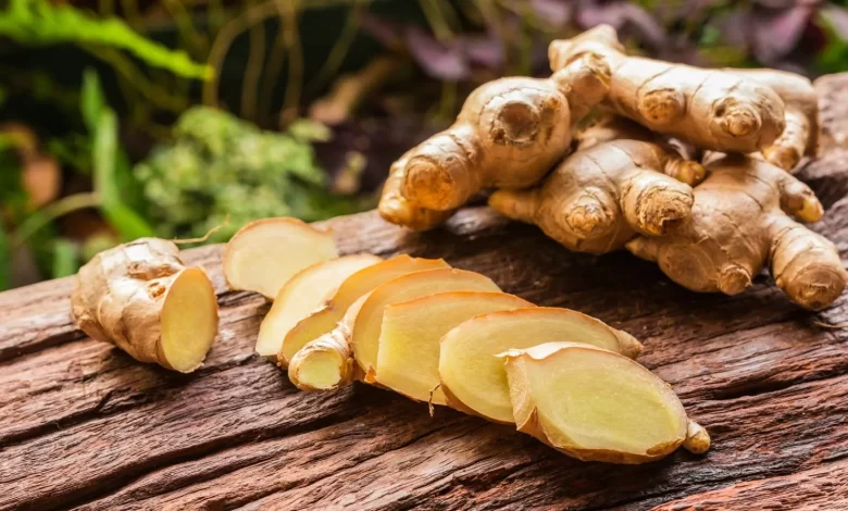 Ginger